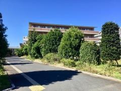 みんなの家志木柏町