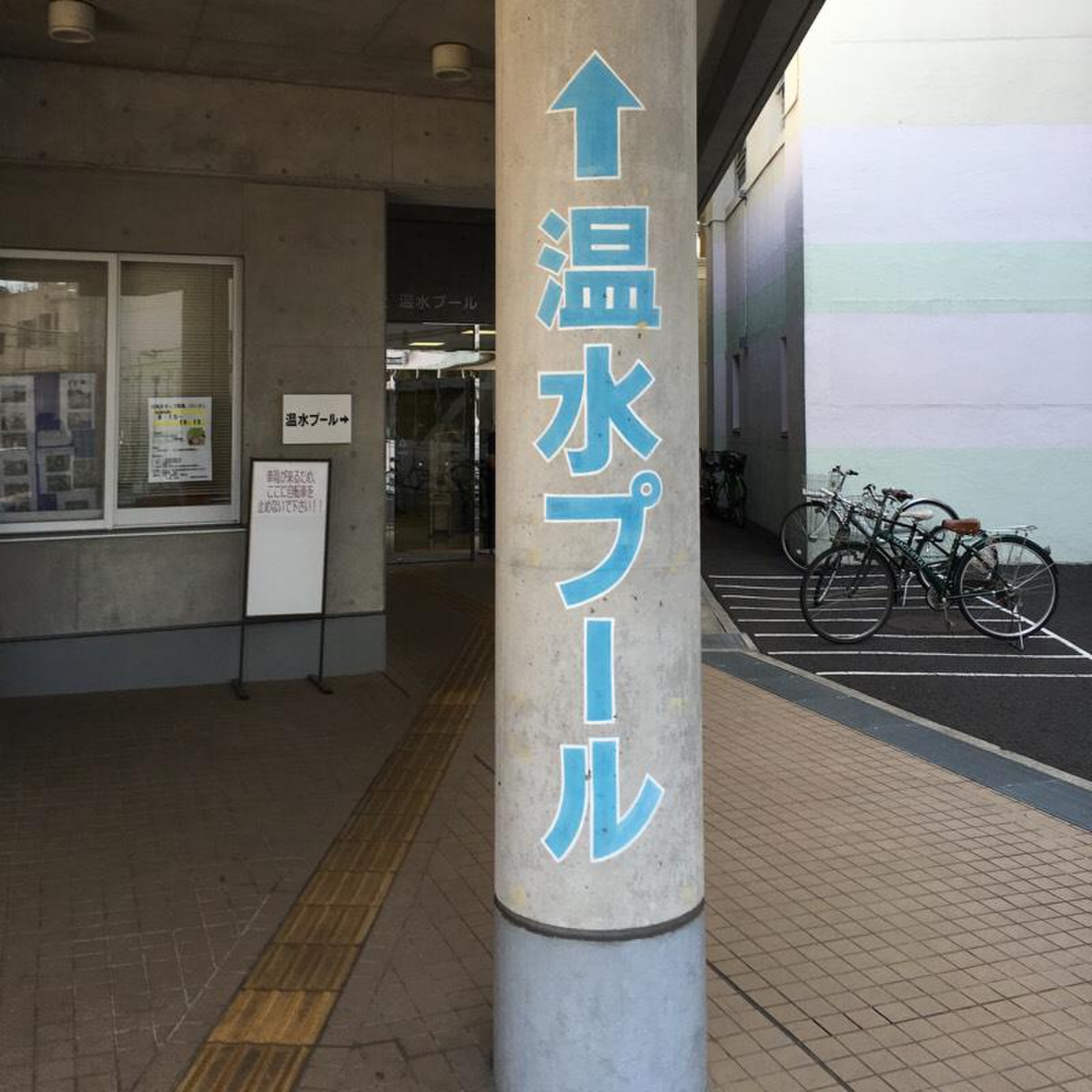 梅丘 中学校 温水 プール