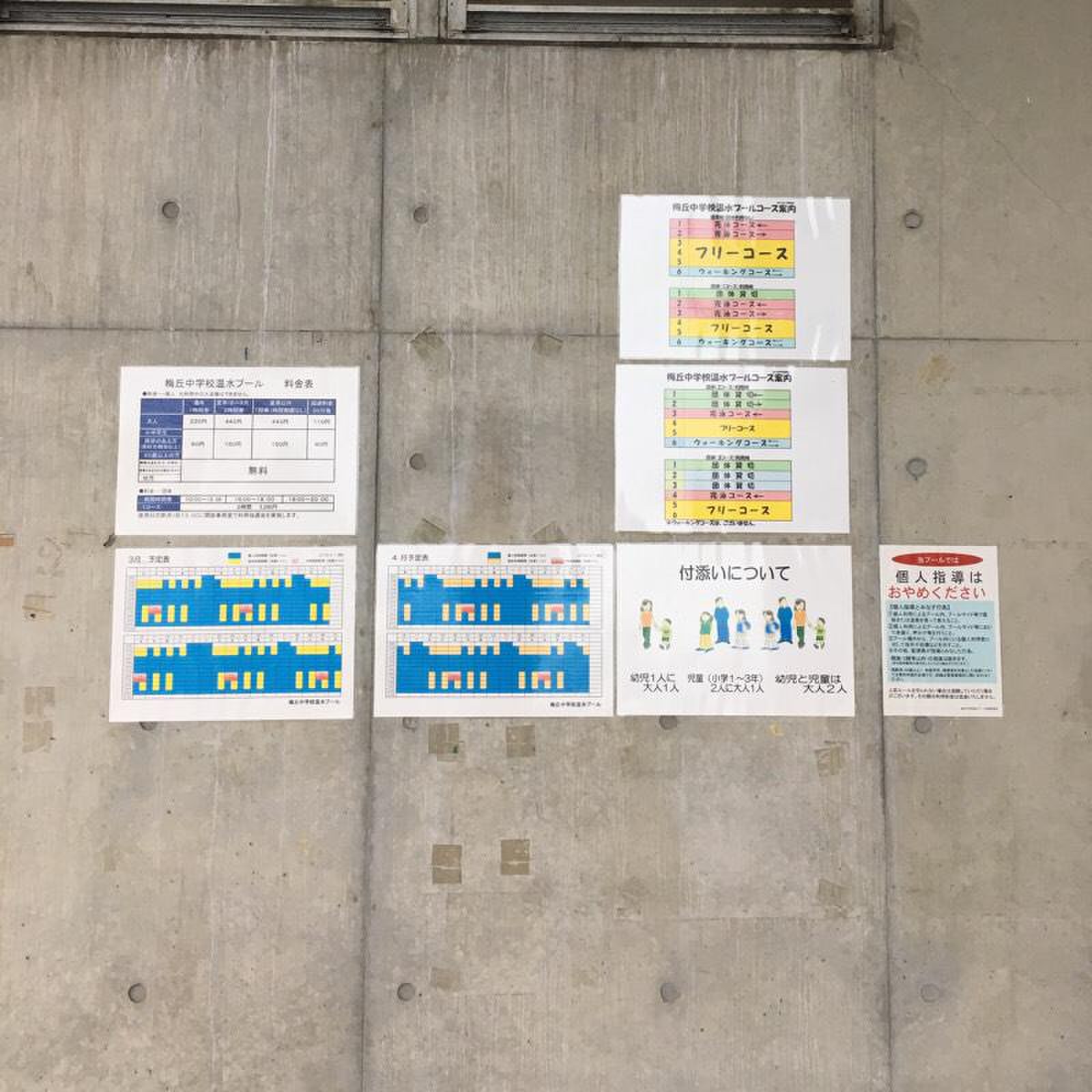 梅丘 中学校 温水 プール