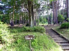 野坂いこいの森