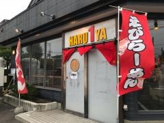 春一家インディアン　水車店