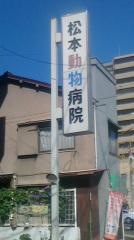 松本動物病院