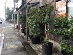 林屋本店