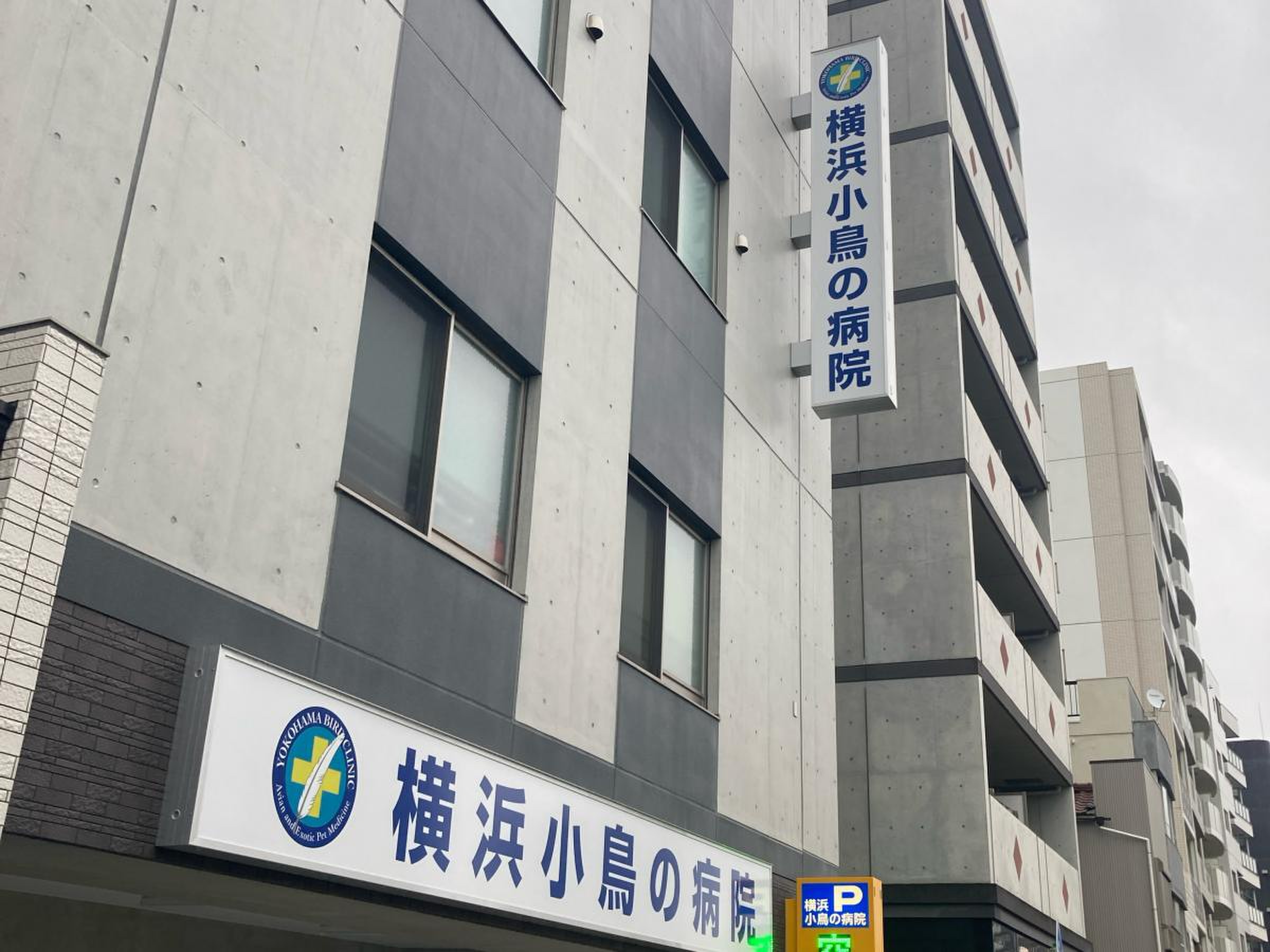 横浜 小鳥 の 病院