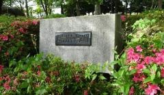 上吉羽中央公園
