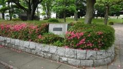上吉羽中央公園