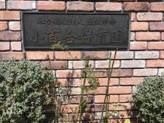 小百合保育園