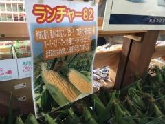 開田高原・彩菜館