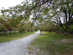 朝鳥公園