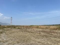 水郷県立自然公園
