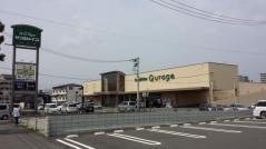 サンシャインクラージュ