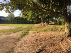 汐井公園