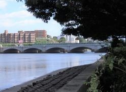箱崎ふ頭1号緑地