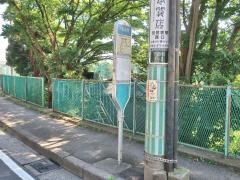「下田仲町」バス停留所