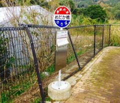 「めだか橋」バス停留所