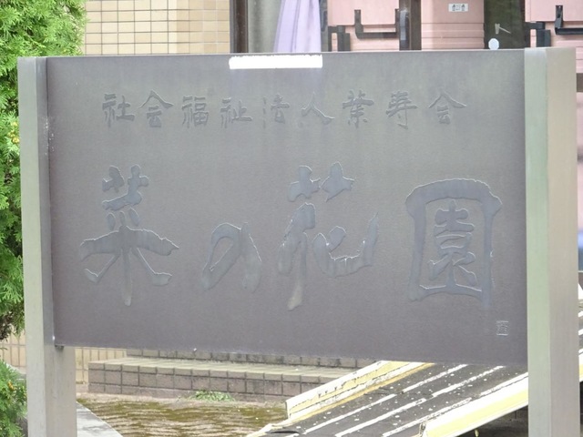 菜の花園