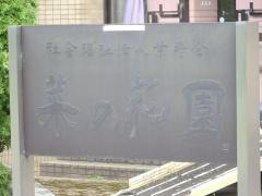 菜の花園