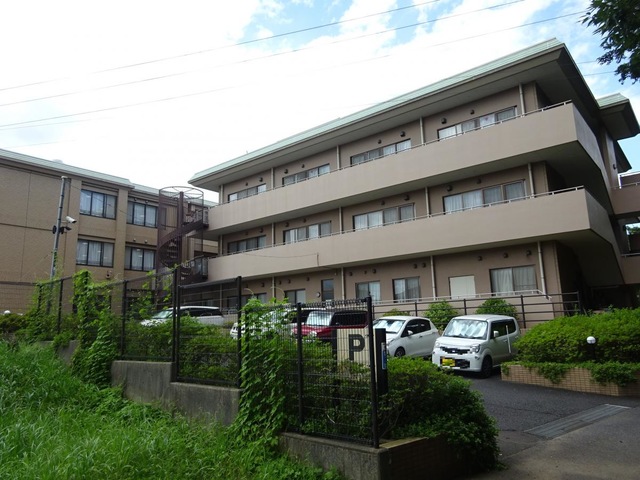 菜の花園