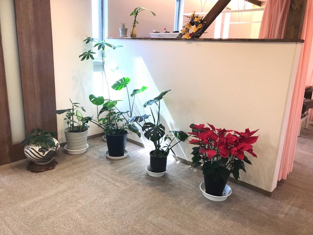植栽