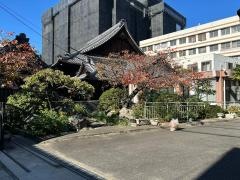 妙本寺