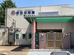 若松幼稚園