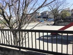 遍照院幼稚園
