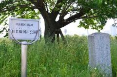 日名橋河川緑地