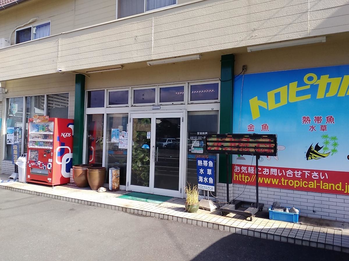 トロピカルランド