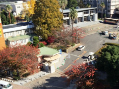 長崎大学大学院