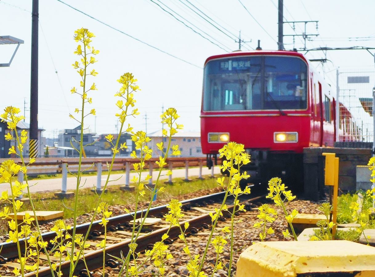 菜の花とホームを離れる名鉄電車