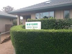 露木鍼灸院