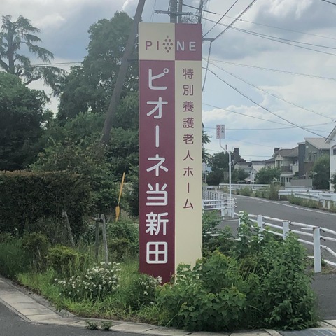 ピオーネ当新田
