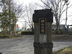 楢山緑地