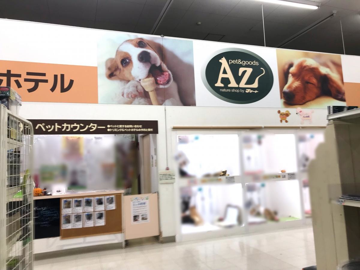 全体