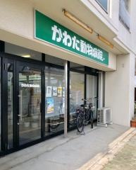 かわた動物病院