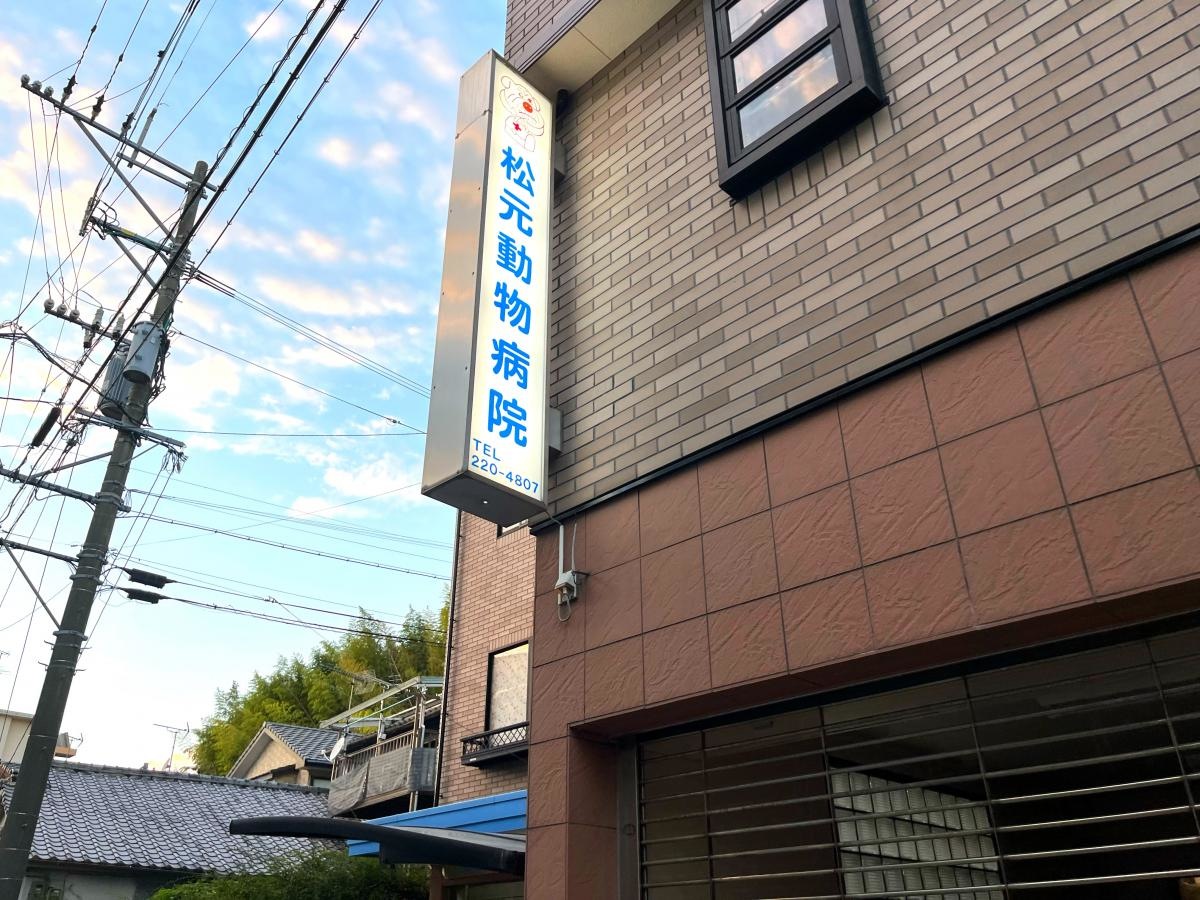 松元動物医院