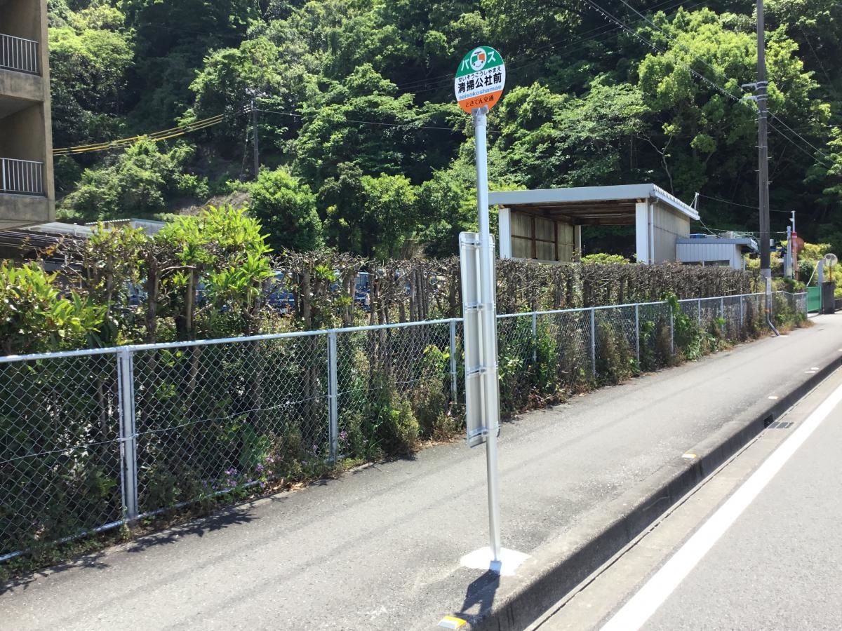 全景です。