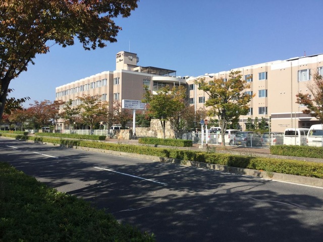 花みずき