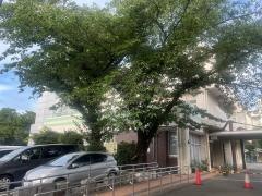 稲城市立第二図書館