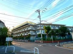 緑小学校