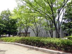 福井県立歴史博物館