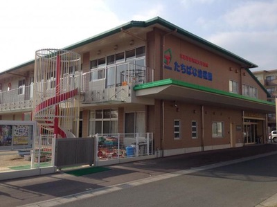 スタディピア 常葉大学短期大学部附属たちばな幼稚園 静岡市葵区瀬名