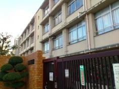 東井高野小学校