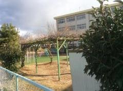 野口北幼稚園