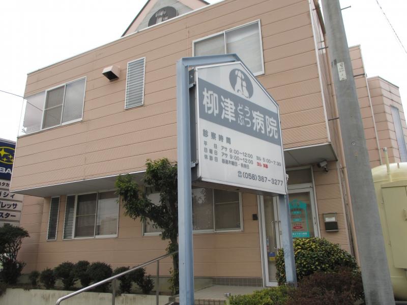 建物