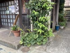 ごんどう