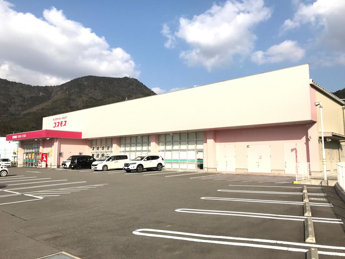 ディスカウントドラックコスモス柏原店