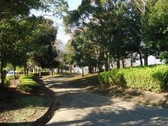 権現森公園