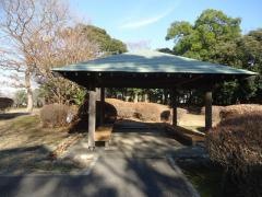 権現森公園