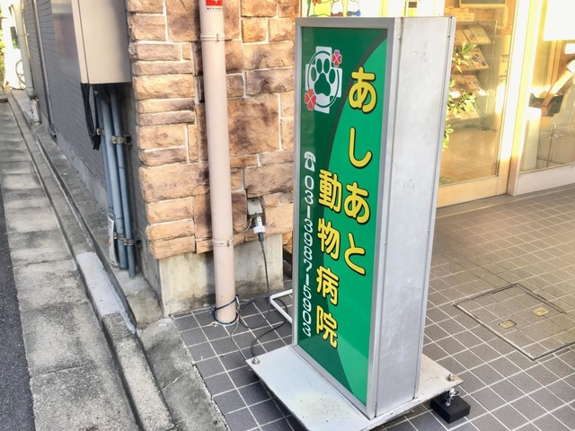 投稿写真4